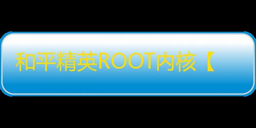 和平精英ROOT内核【YY内核】外挂